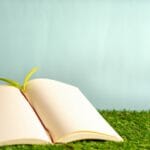 日本におけるSDGsの経済効果！サステナブルな取り組みが企業を成長させる