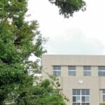 大学卒業までの子育て費用は数千万?!子供が成人するまでに掛かるお金