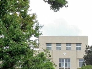 大学卒業までの子育て費用は数千万？！子供が成人するまでに掛かるお金