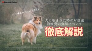 犬に噛まれた時の対処法と治療費の負担:飼い主と被害者が知るべきこと