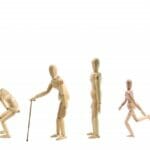 いま終身保険を選んでいる方必見！基本的な種類の解説と活用法