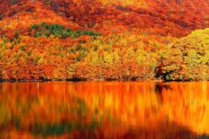 紅葉が見頃な秋!関東おすすめ紅葉スポット!