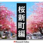 田園都市線沿線での不動産投資:駒沢大学・桜新町・用賀エリア情報