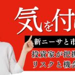 新NISAと市場下落:投資家が把握すべきリスクと機会