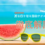 【2024年版】扇風機の電気代とエアコンの比較:夏を乗り切る節約テクニック