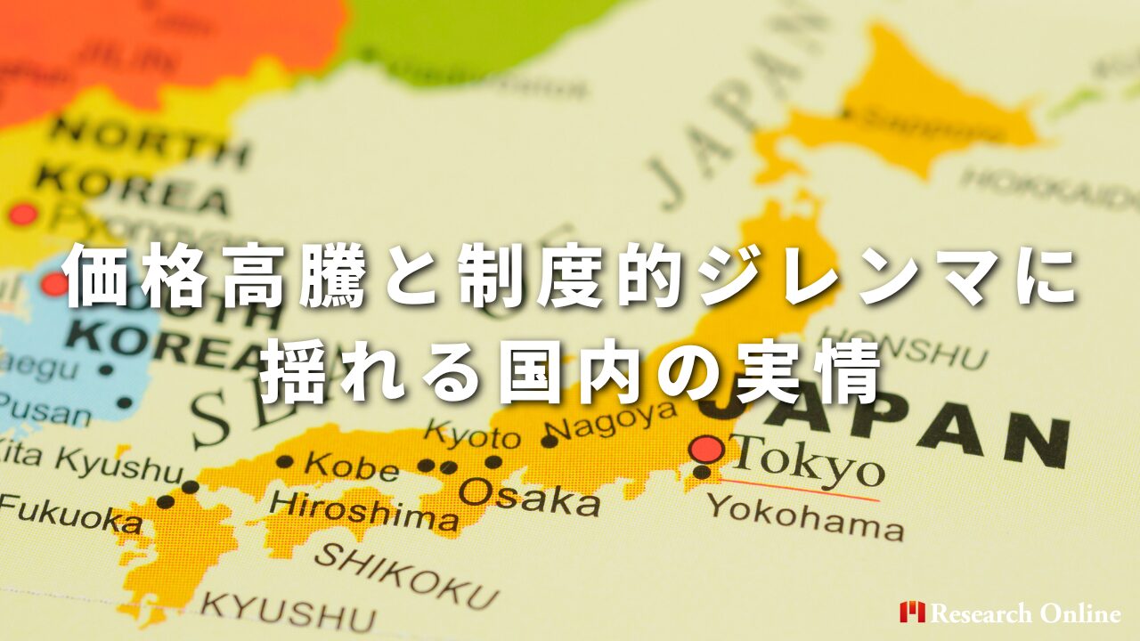 価格高騰と制度的ジレンマに揺れる国内の実情