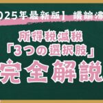 議論沸騰！所得税減税「3つの選択肢」を完全解説【2025年最新版】