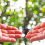払い済み保険のできる3つの保険について|気をつけるポイントについて