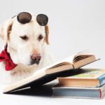 ESG投資、SDGsの違いとは？簡単にまとめてみた【2021年最新版】