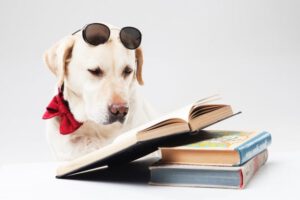 ESG投資、SDGsの違いとは?簡単にまとめてみた【2021年最新版】