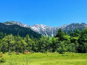 観光業界の今後はどうなる?逆風に負けない星野リゾートが成功する理由