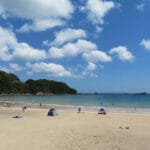 2021年は海水浴場が多数閉鎖!海の家のひと夏の儲けを徹底検証
