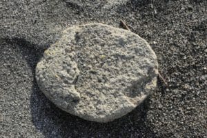 沖縄軽石被害とフリマの意外な関係。経済的な影響がこんなところにも?!