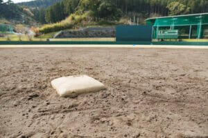 日本ハム・新庄監督による経済効果!プロ野球界を越えて広がる影響とは