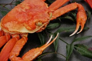 松葉ガニが解禁！高騰して買えないのは水揚げ量が減っているから？！