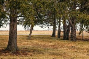 驚き!仲間由紀恵さん税金かけず土地売却