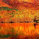 紅葉が見頃な秋!関東おすすめ紅葉スポット!