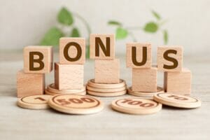 気になる!冬のボーナスの使い方