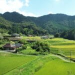 田舎暮らしと都会暮らしはどっちが経済的にお得なの？