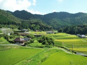 田舎暮らしと都会暮らしはどっちが経済的にお得なの?