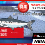 函館イワシ大量死:自然の警鐘と環境への影響