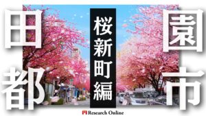 田園都市線沿線での不動産投資：駒沢大学・桜新町・用賀エリア情報