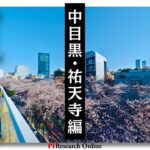 東急東横線沿線での不動産投資:中目黒・祐天寺エリア情報