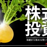 初心者必見！株式投資完全ガイド：基礎から始める賢い投資戦略