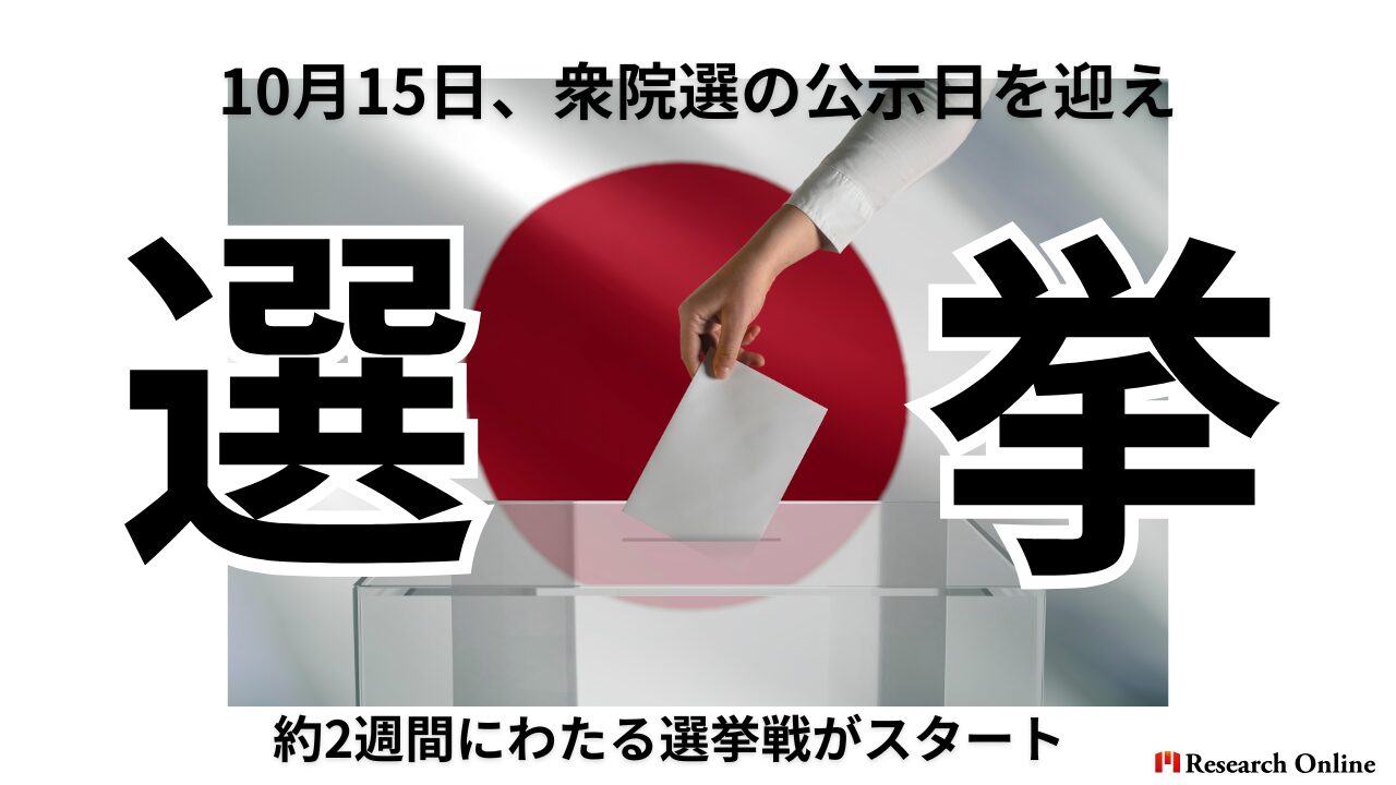 2024年衆議院選挙：注目の情勢と自民党の未来展望