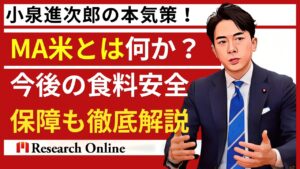 小泉進次郎の本気策！MA米とは何か？今後の食料安全保障も徹底解説